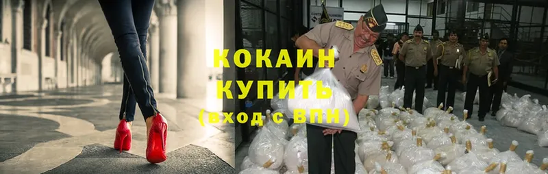 Cocaine Эквадор Нестеровская